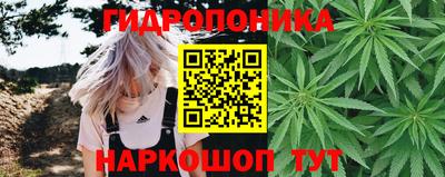 винт Будённовск