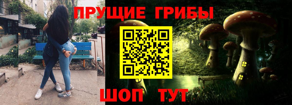 Псилоцибиновые грибы Cubensis  Вход с VPN  Карасук 